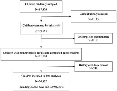 Risk Factors Associated With Abnormal Urinalysis in Children